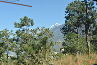 山林间的蓝天绿树景致