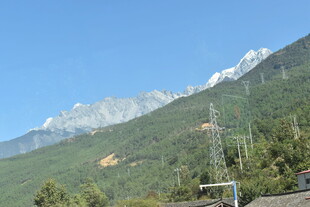 雪山下的翠绿山林