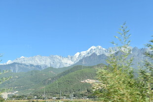 壮丽雪山下的葱郁景致