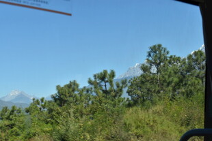 车窗外的绿意与远山