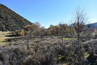 秋日山野风光景色