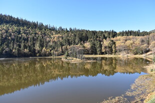 宁静湖畔山林美景