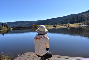 湖畔木栈道上的静思身影