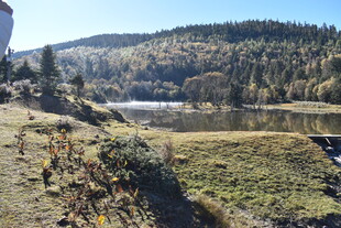 秋日山间湖畔美景