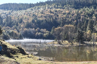 秋日山林中的静谧湖泊