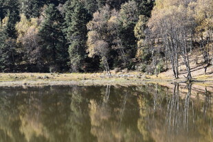 秋日静谧湖畔森林倒影