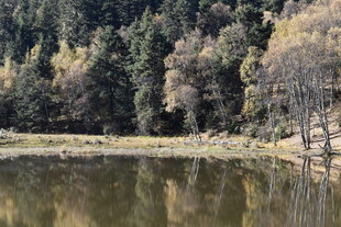 山林湖畔静谧风光