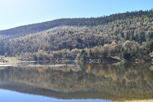 宁静湖畔山林倒影美景