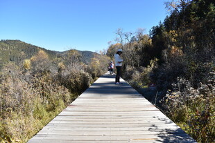 漫步木栈道赏秋日风光
