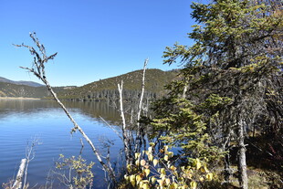 宁静湖畔山林美景