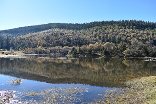 宁静湖畔山林美景