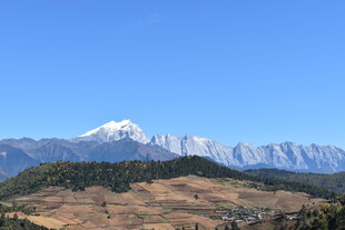 雪山下的山林风光
