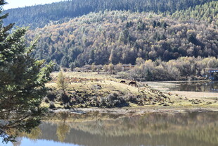湖畔山林风光美景