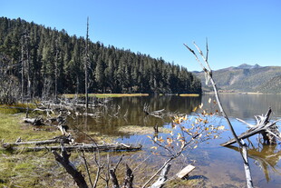 静谧山林中的清澈湖泊