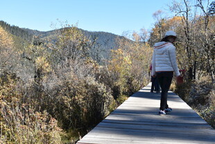 漫步山间栈道的女子