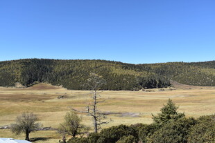 广袤原野与葱郁山林景观
