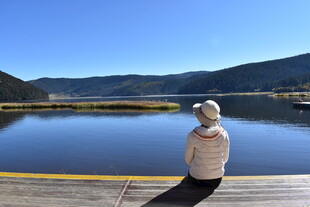 湖畔独坐的静谧身影