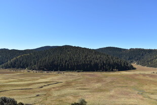 广袤原野与葱郁山林景观