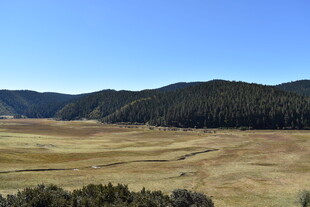 广袤原野与远山风景