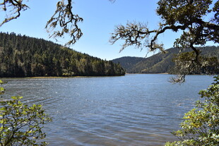 宁静湖畔山林美景
