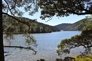 宁静湖畔的自然风景