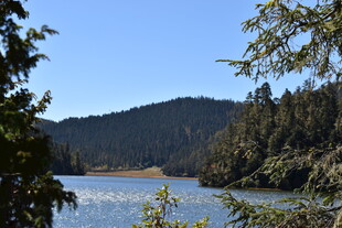 宁静湖畔山林美景