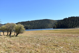 草原湖泊边的静谧风光