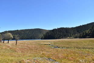 草原山林间的开阔美景