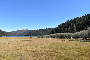 草原山林间的开阔美景