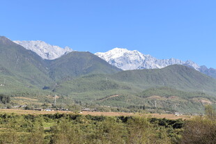 雪山下的绿色原野