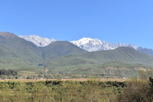雪山下的广袤原野风光