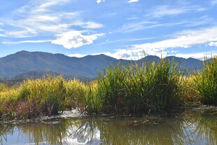 湖畔青山间的自然景致