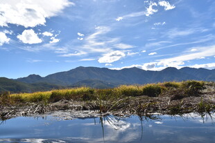 湖畔美景 远山黄花映蓝天