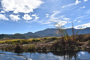 山水相依的自然美景