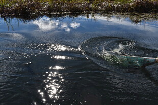 波光粼粼的流动水面