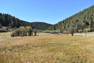 山间开阔草地自然风光