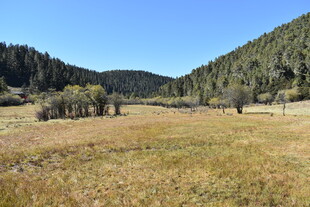 山间开阔草地风景