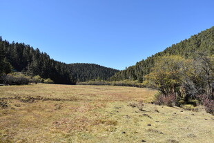 山间开阔草地风景