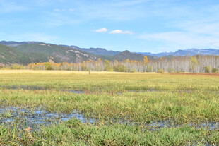 广袤田野与远处山峦美景