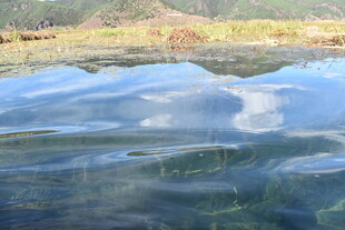 清澈湖水映蓝天白云