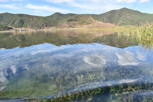 清澈湖水映山峦水草