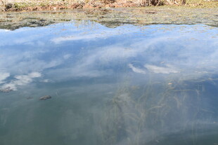 湖面倒映蓝天白云美景