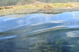 波光粼粼的水面与岸边景色