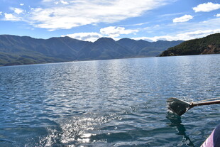 湖畔美景 水中泛起涟漪