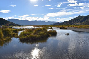 宁静河畔的自然风光