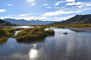 宁静山水间的美丽湿地