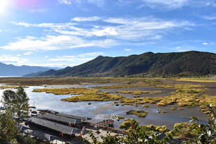 美丽湿地自然风光景色