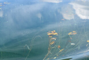 高空俯瞰大地景观