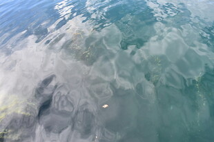 高空俯瞰海面及漂浮物