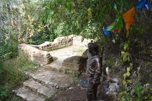 山间石阶隐于葱郁草木间